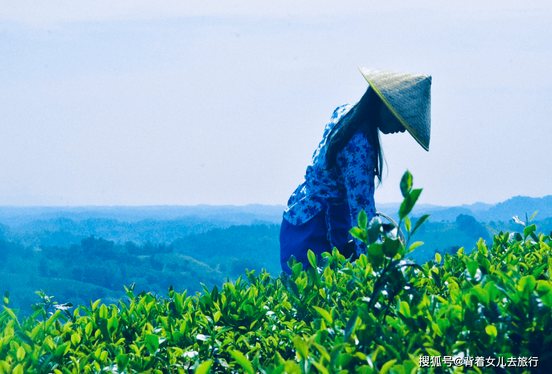 网友|河南一座城市，特产美女和绿茶，风景好，美食多