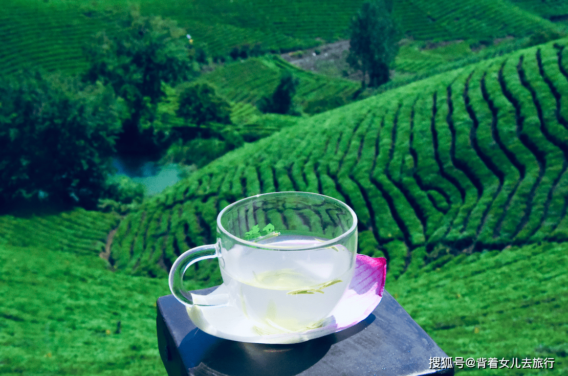 网友|河南一座城市，特产美女和绿茶，风景好，美食多