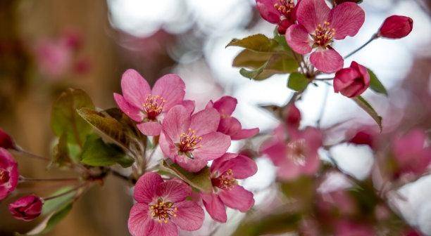 4天后 高人指点 三大生肖爱难自弃 天降喜运 压力全消 工作 事业 生活