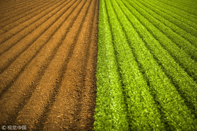 本篇主要讲日主戊,己土的朋友在2022壬寅年的一个