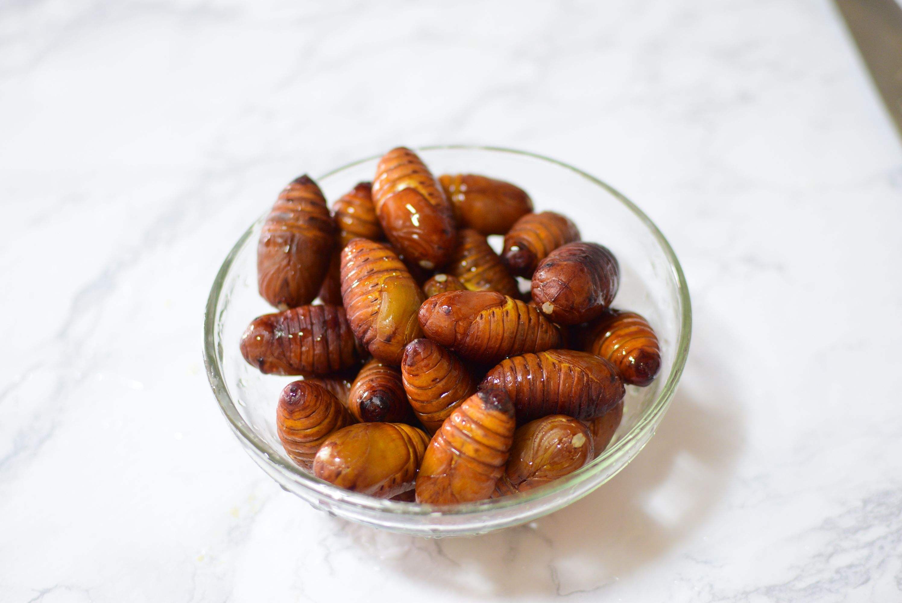 痛风的人可以吃蚕蛹吗