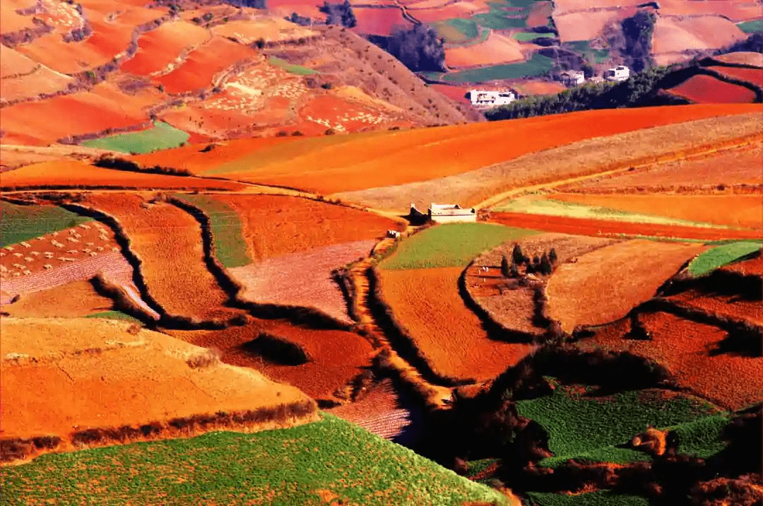 中国土地 来自搜狐网