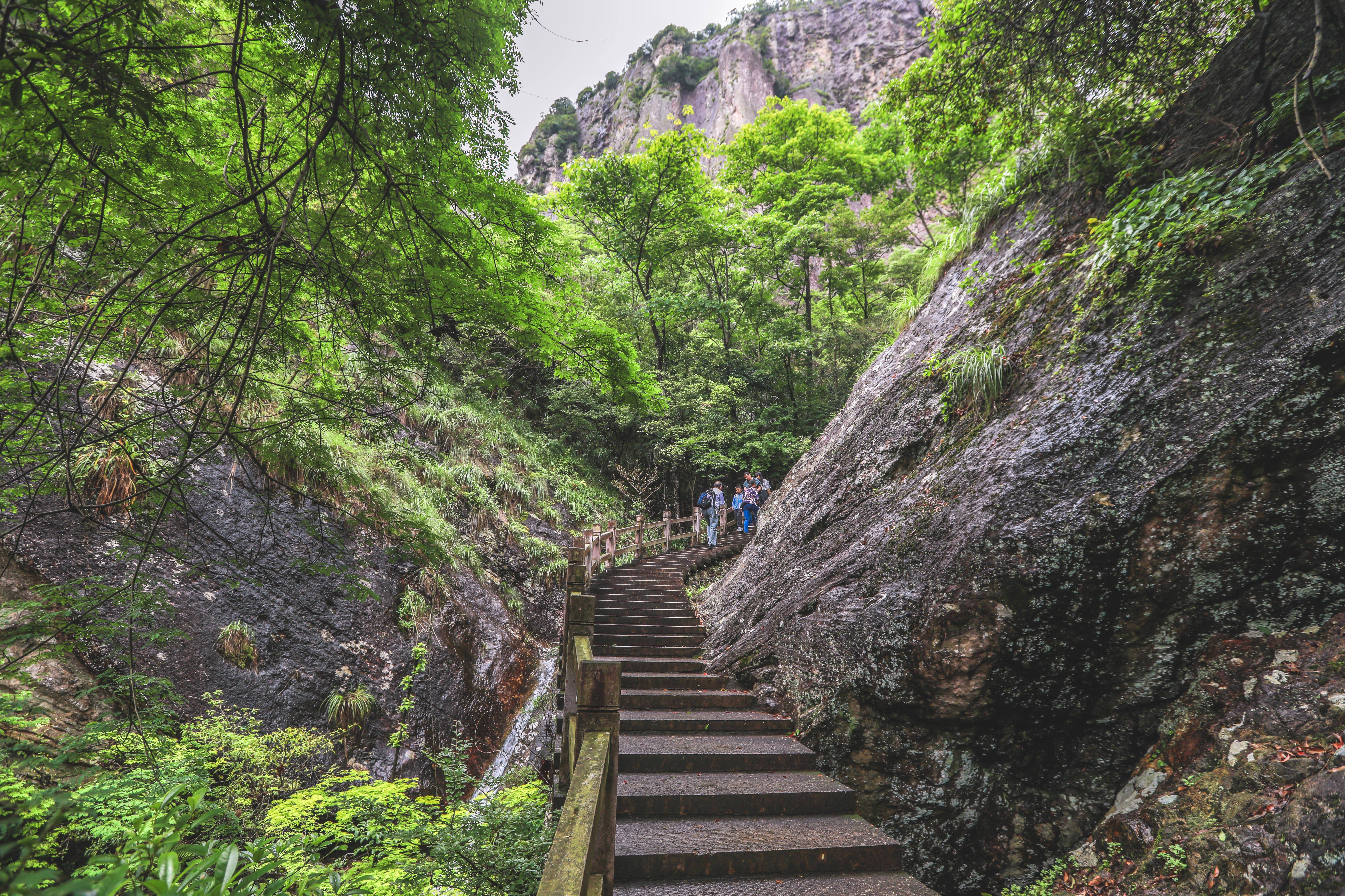 景区|它是浙江温州名山，形成于1亿2000万年，被称中国“东南第一山”