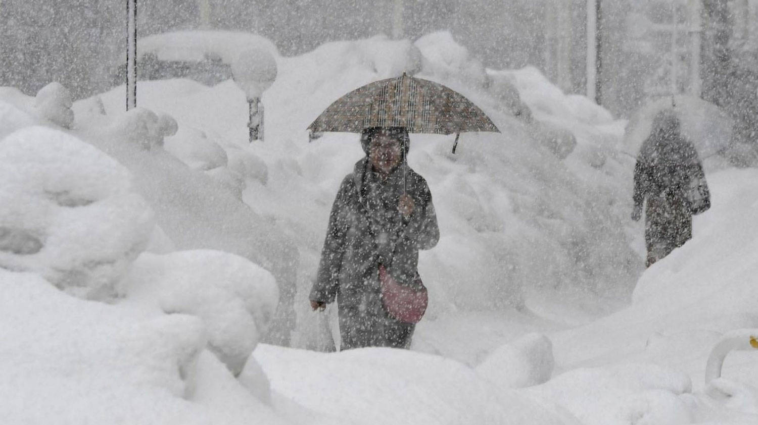 拜登|残酷的雪景，惨兮兮的美感