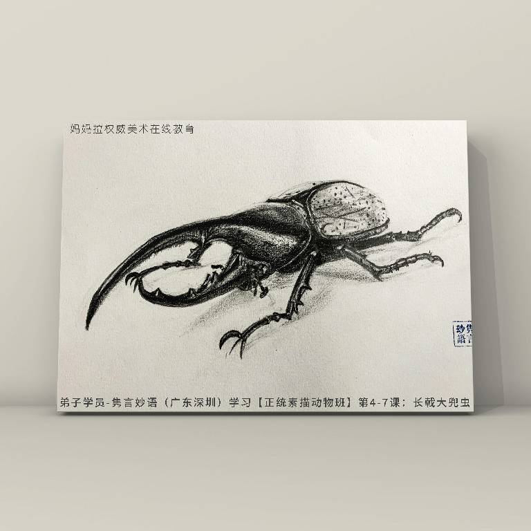 第四:从大到小,从主到次多注意画面的刻画和构图.