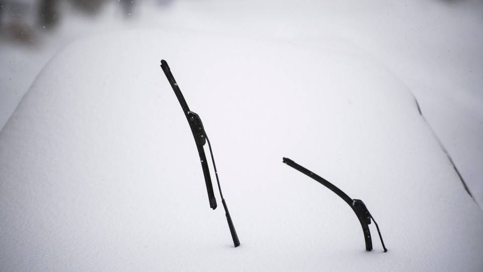 拜登|残酷的雪景，惨兮兮的美感