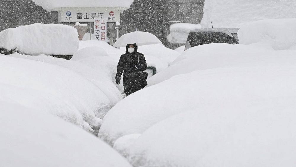 拜登|残酷的雪景，惨兮兮的美感