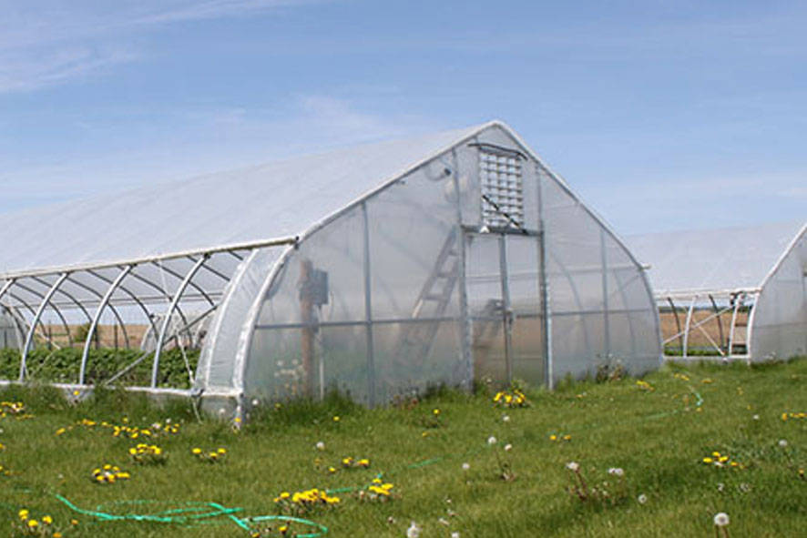 建造蔬菜小温室的几个小步骤 加热器 植物 结构