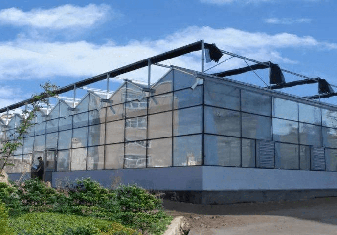 玻璃温室的原理和功能 植物 散热 系统