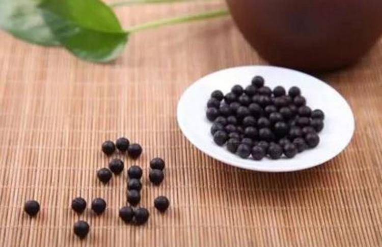 黑色的小药丸算是中药吗