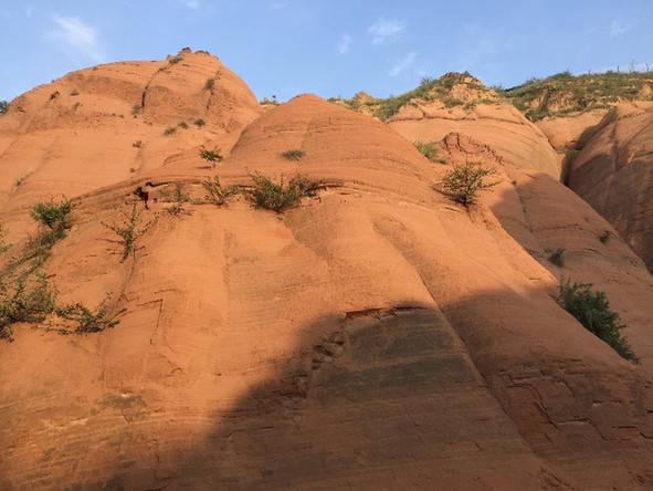 土金是互助,金旺財制木而存土,土旺而制水晦火,故而,以透火土金為陽