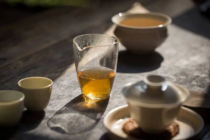 大国礼茶国昂经典福鼎白茶茶膏开创便捷新茶道