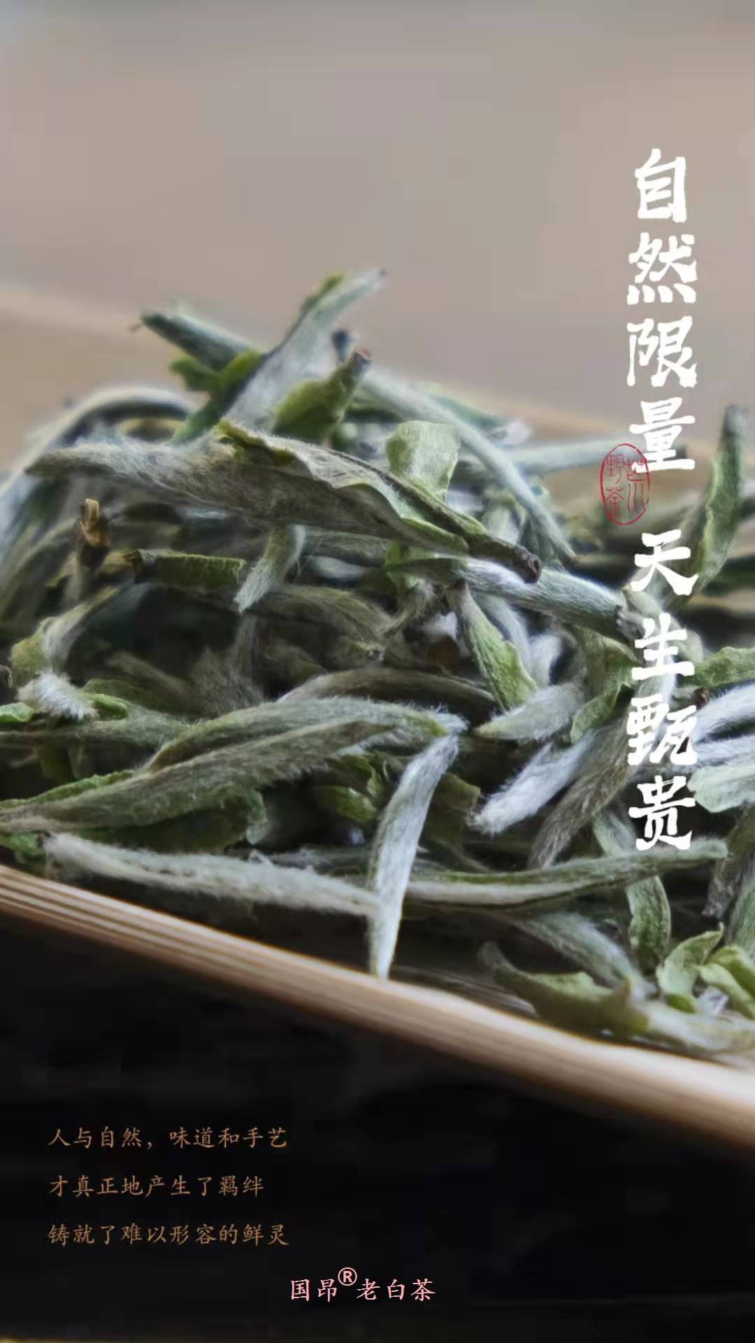 人体|长期喝福鼎白茶茶膏有什么好处？一篇科普让你一目了然