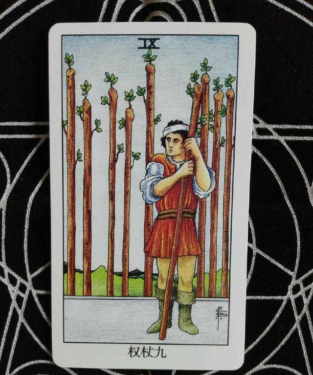 权杖九 正位1号牌翻牌集中精力,请在心中默念自己想要知道的问题,然后