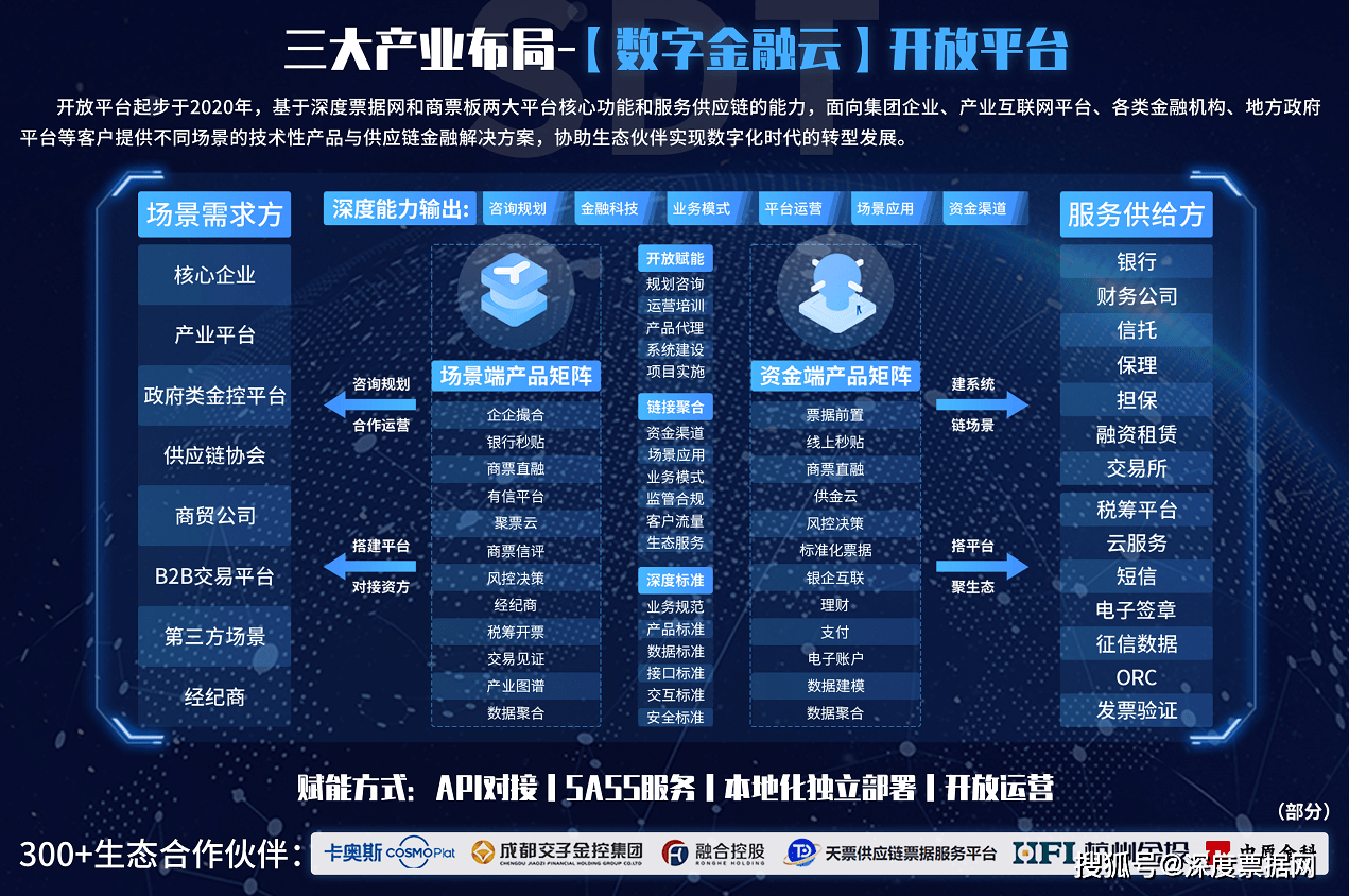 深度数科【开放平台】全解_搜狐网