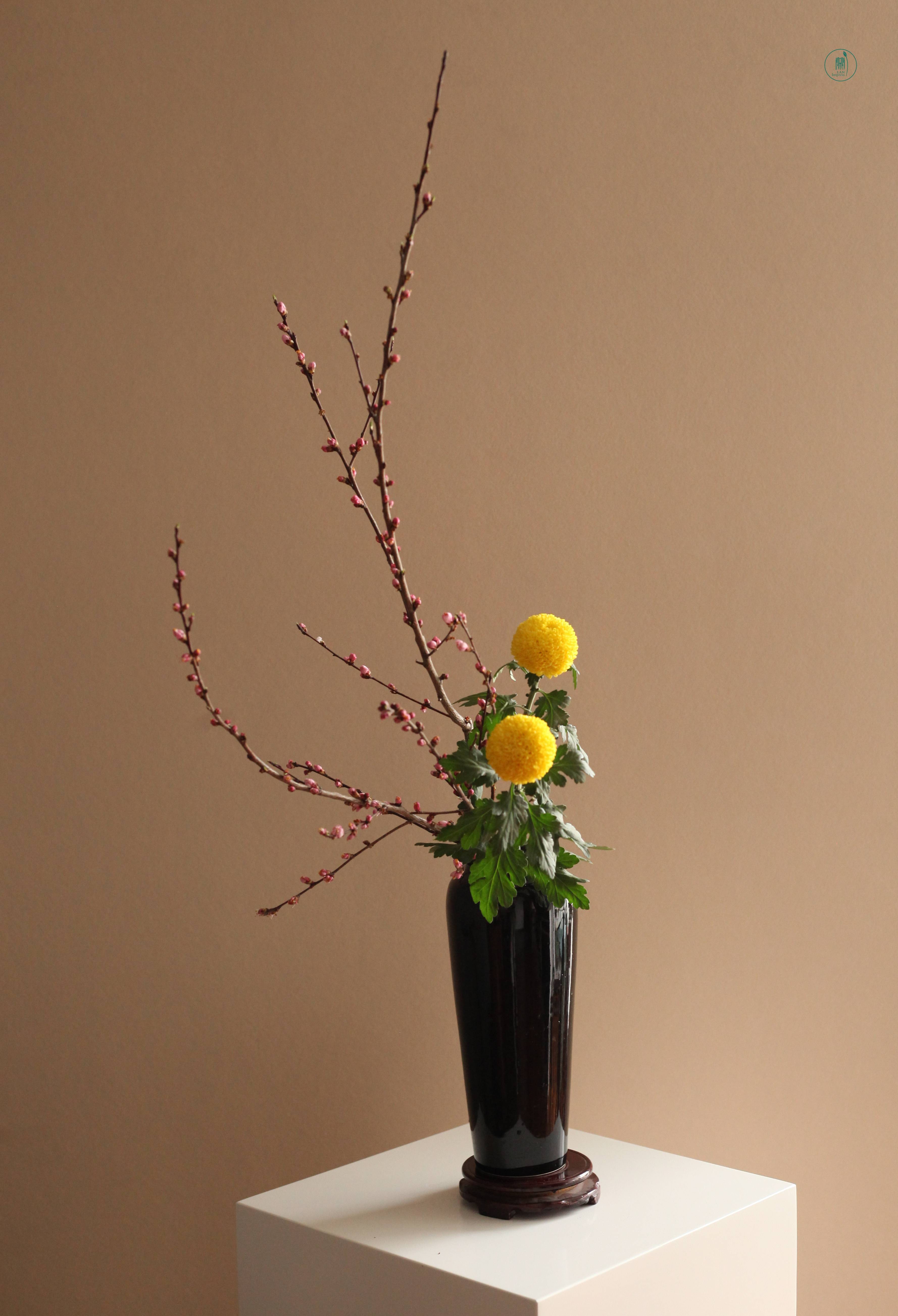 春天是百花齐放的季节|西安小原流兰印象花道_树梢_生活_草地