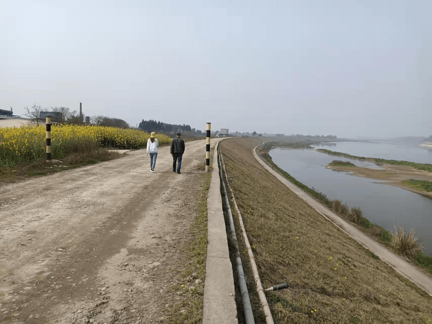 眉山市彭山区岷江生态堤防美如画