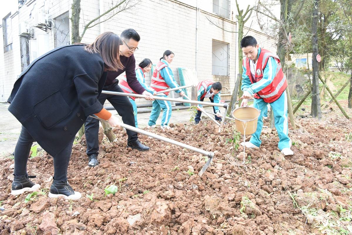 敘永一中開展植樹節活動