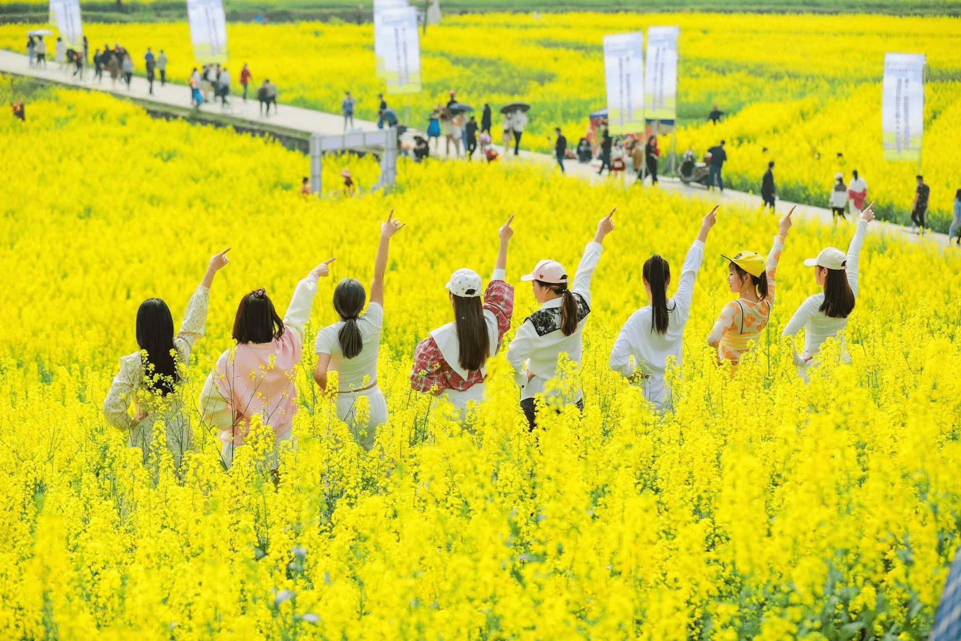 峨山油花节2022图片