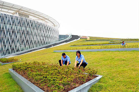 1,已通過助理園林園藝師級資格認證或取得中高級技術並從事相關工作