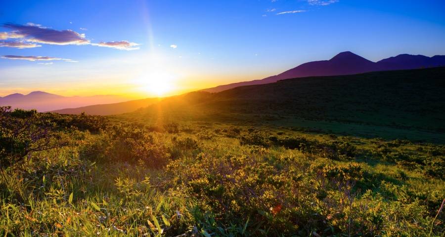 今年家电业首轮旺季或将“硬启动”-家电圈官网