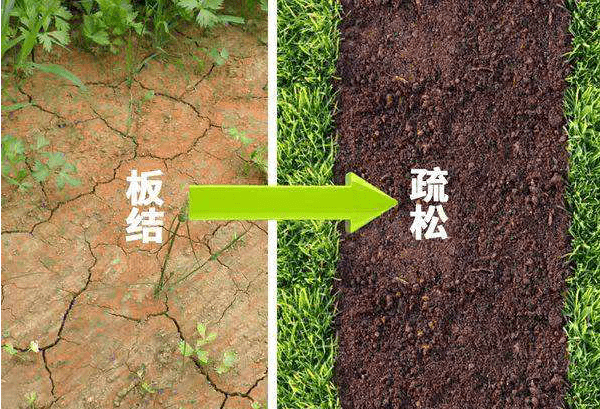 2022年中央一号文件发布强化现代农业基础支撑土壤调理剂生产设备