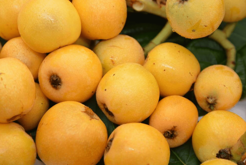 百合|明日春分，再忙也别忘吃“3菜3果3芽”，应季而食，助你安然度春