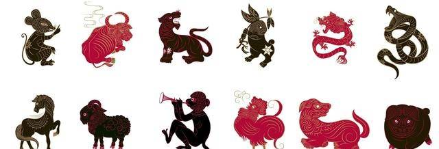 昏天黑地是什么生肖解一个动物生肖，全面解答解释