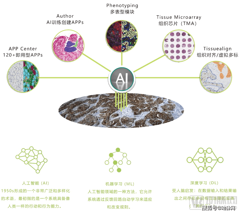 数字化|全数字化是病理AI发展的分水岭，谁能领跑中国数字病理下半场？