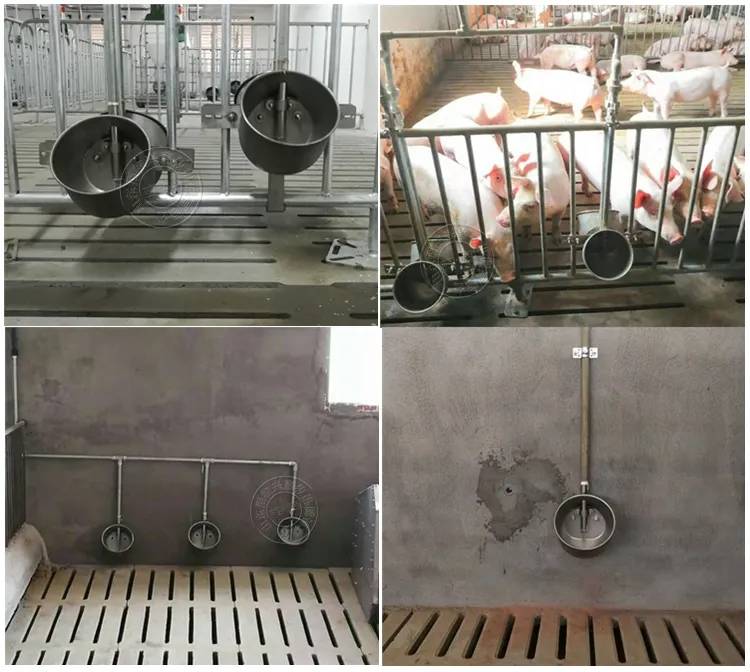 猪用饮水碗的安装高度及数量介绍