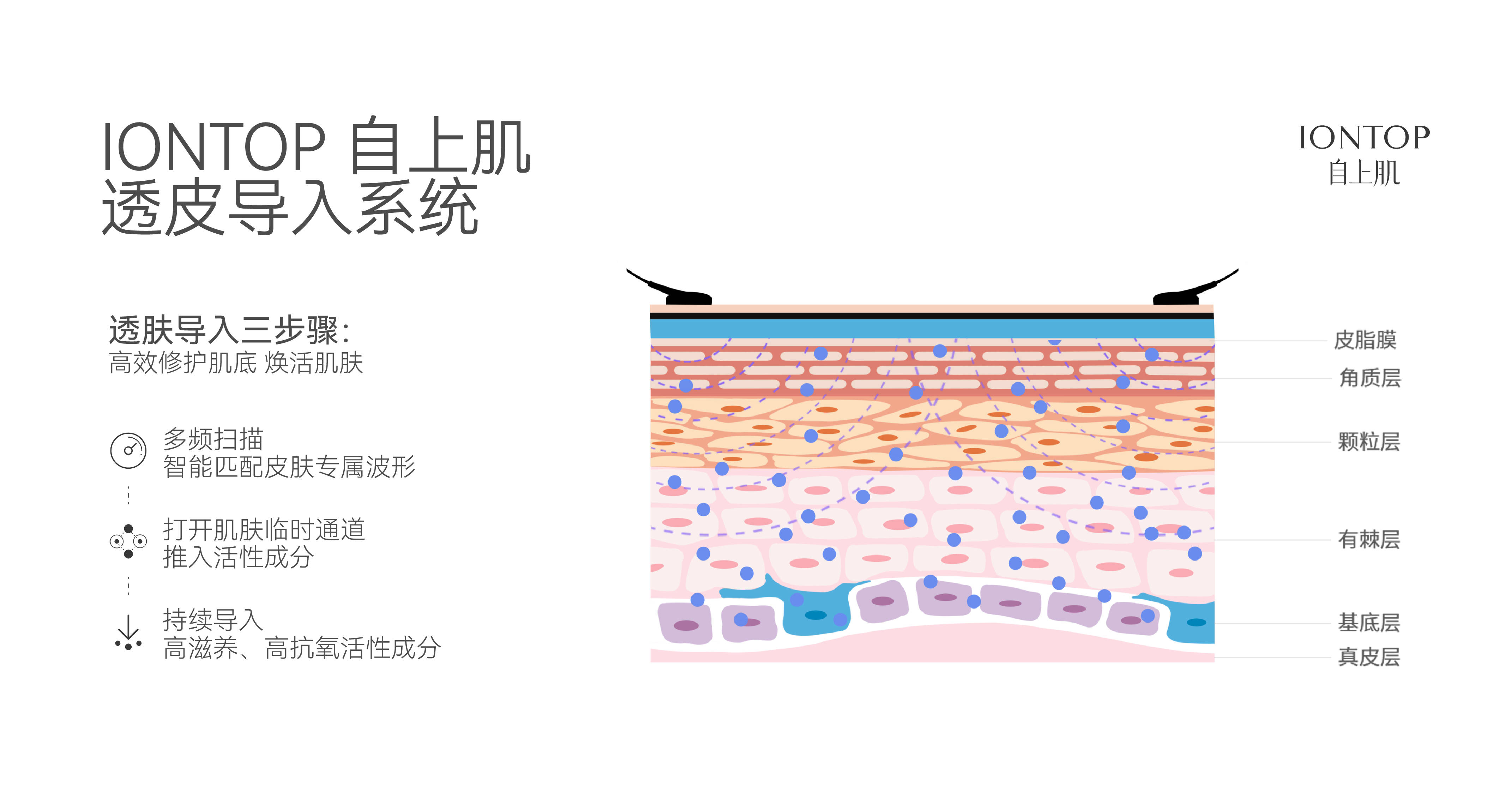 2019年,依托于无创透皮技术——离子电渗导入技术背景的支持,钛医医疗