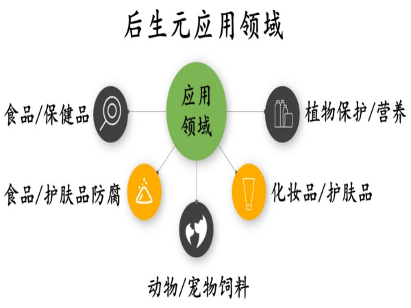 元达生物深入解读后生元的作用及其机理_治疗_肠道_功能性