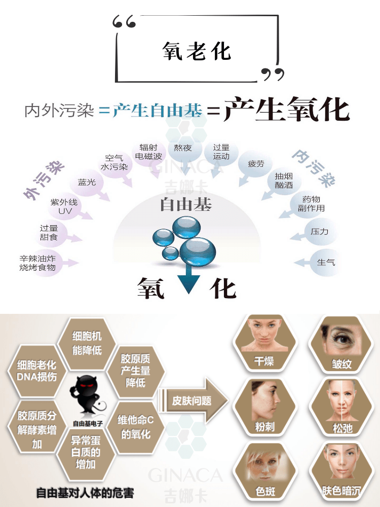 老化的損傷機制包括氧化應激,dna損傷,細胞凋亡,基質金屬蛋白酶的作用