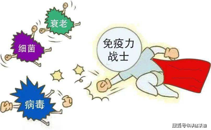 山茶油增强免疫力让你与健康常相伴