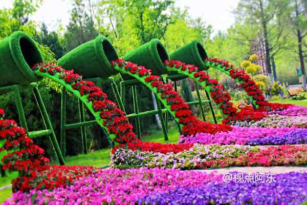 秦岭国家公园代表植物图片