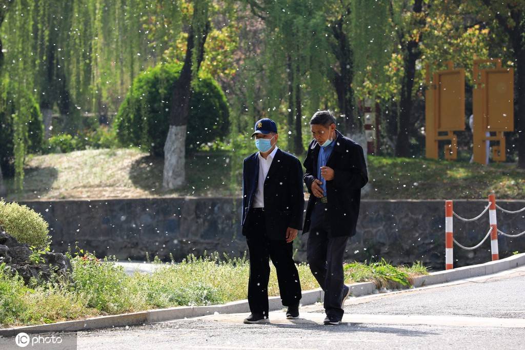 又是一年飞絮时!各地柳絮杨絮漫天飞舞如雪飘-搜狐大视野-搜狐新闻