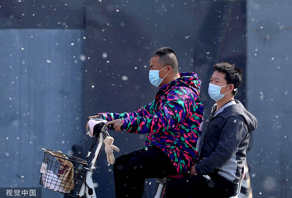 又是一年飞絮时!各地柳絮杨絮漫天飞舞如雪飘-搜狐大视野-搜狐新闻