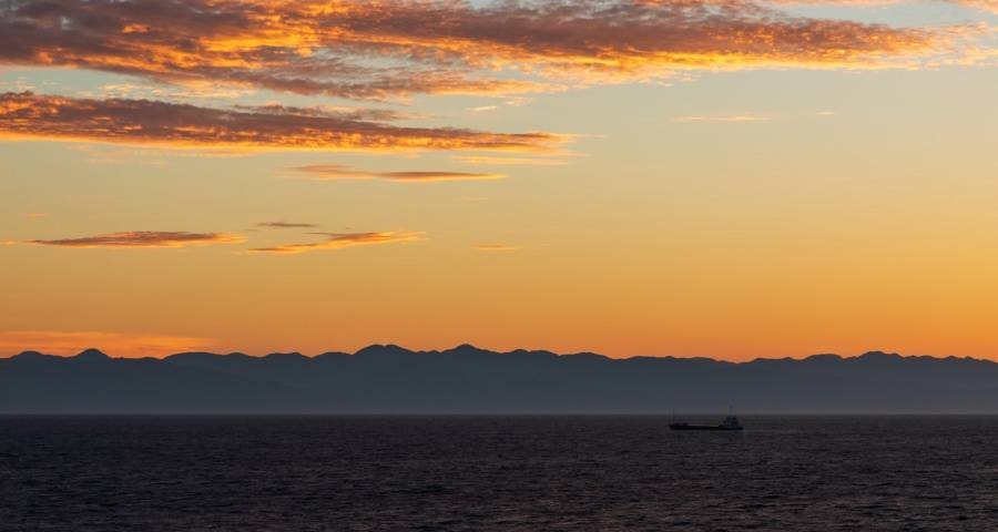 家电企业今年要提前做好这个准备-家电圈官网