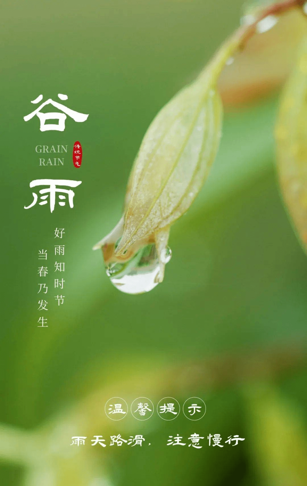 谷雨最漂亮早上好动态表情图合集2022最新谷雨早晨好动图语录大全