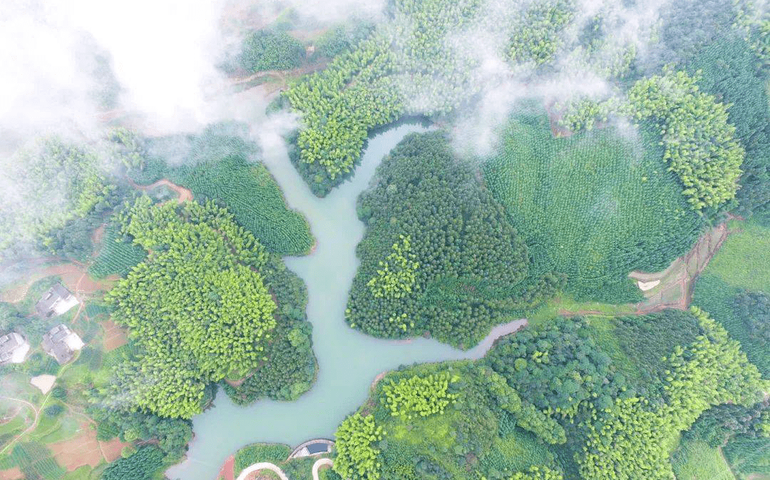 創建天府旅遊名縣來興文青山岩赴一場雲海盛宴美翻了