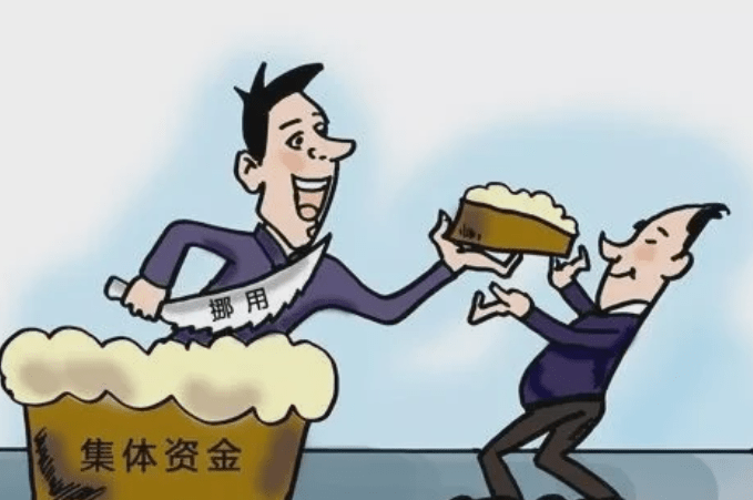 严某_公司_挪用资金