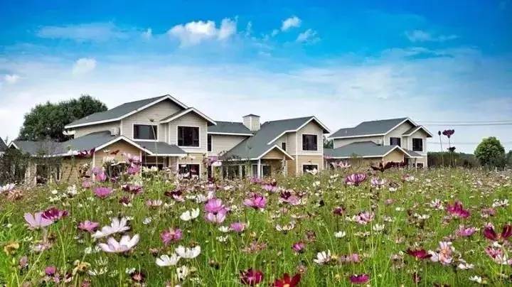 蚌埠禾泉小镇联