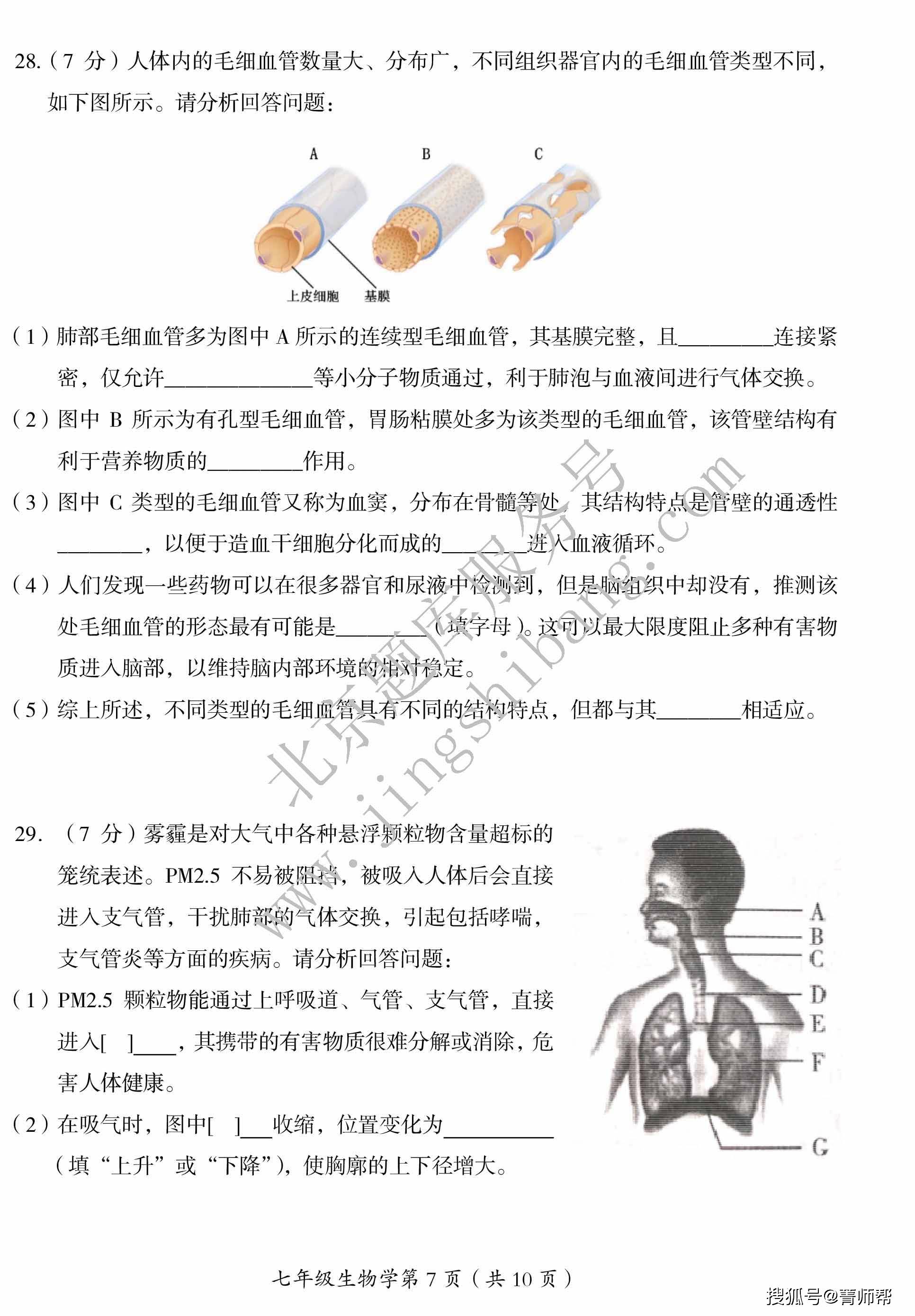 2022北京房山初一下期中生物pdf版