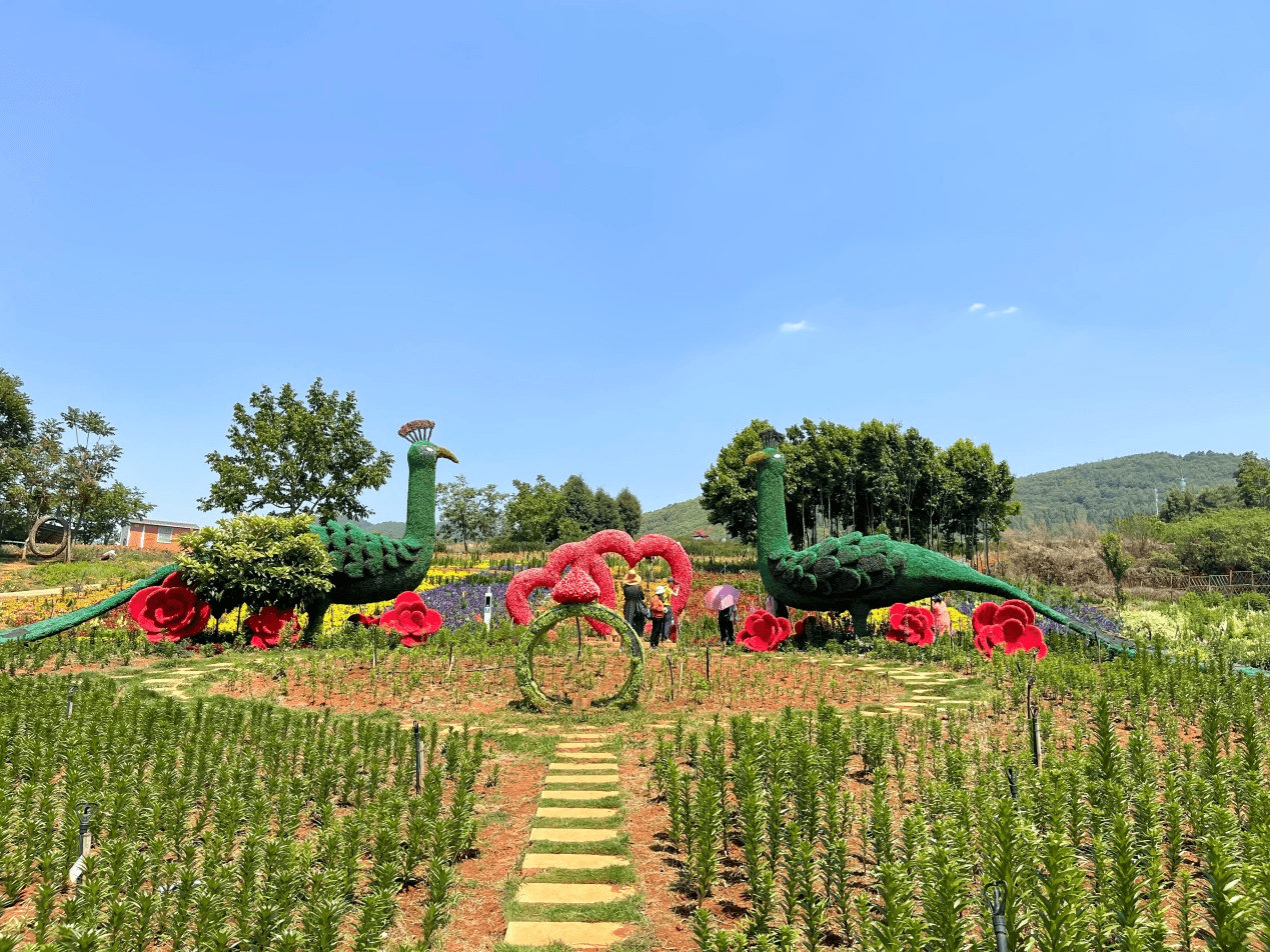 昆明市嵩明县旅游景点图片