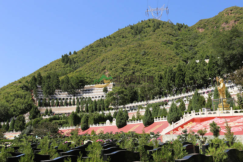 目前所知道的正常售卖的树葬墓园有天寿陵园和十三陵景仰园