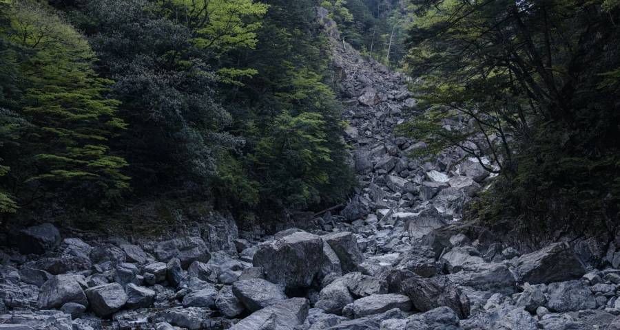 家电业绩与消费需求两重天，美的拓版图华为方太拼技术长虹抢单-家电圈官网
