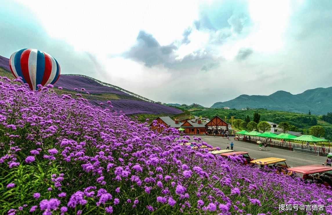 贵州四季花海大全,一年四季看花不是梦!