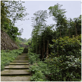 萧山瓜沥接龙寺一座蕴藏着万千神圣的古寺