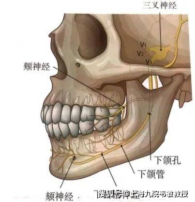 下颌角的截骨量本身有一个极限值,从医学解剖结构上讲,在下颌骨里面的