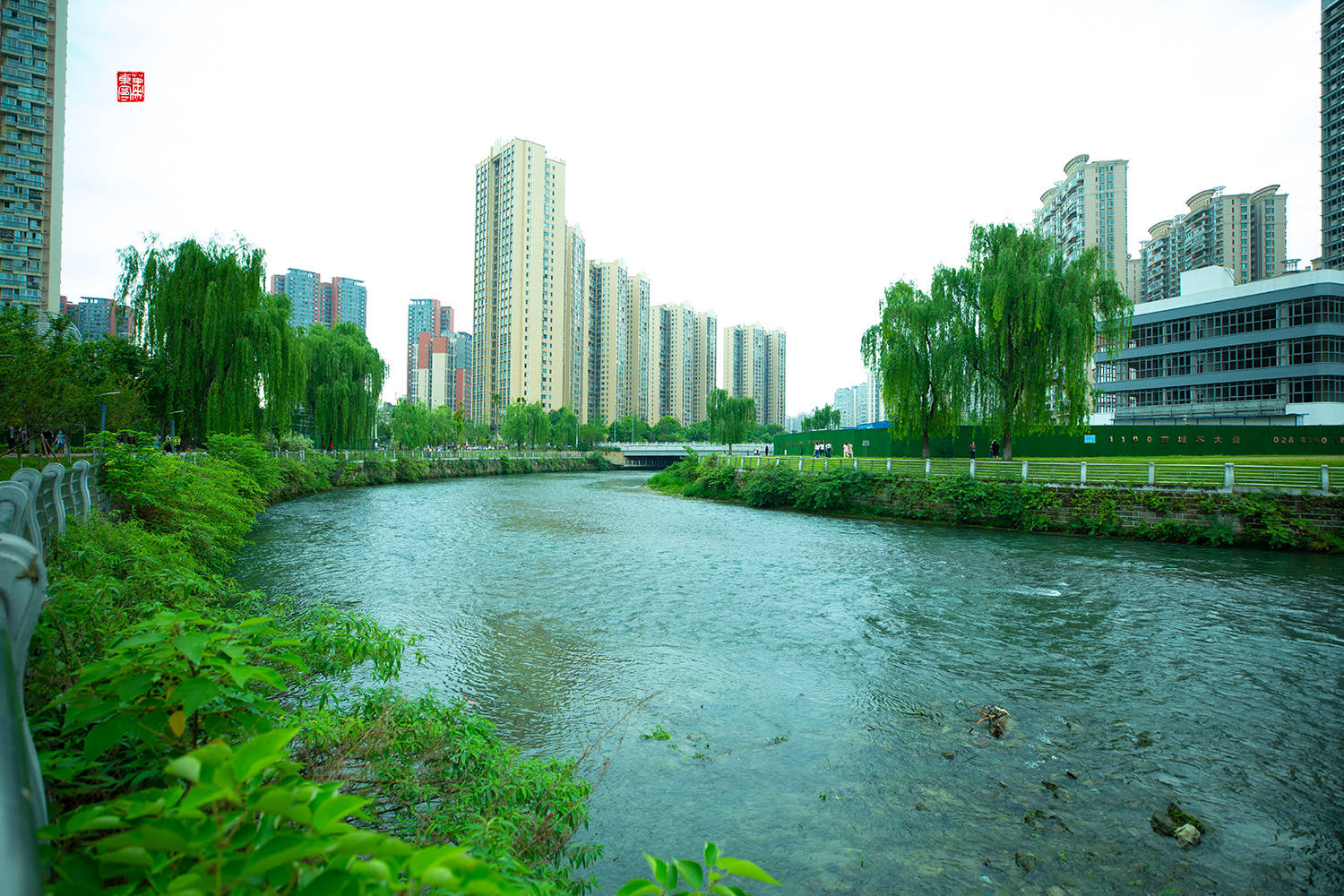 注:拍于成都温江区江安河